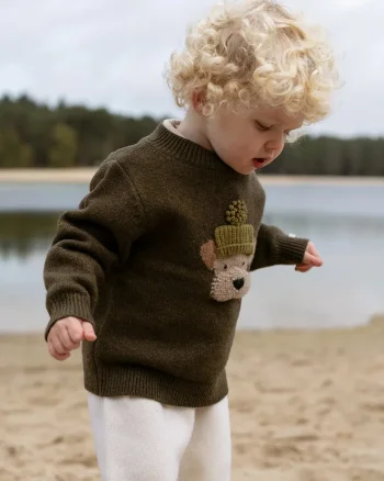 Donsje  pulover pentru copii din lână merino Denn Merino Wool Sweater Terrier