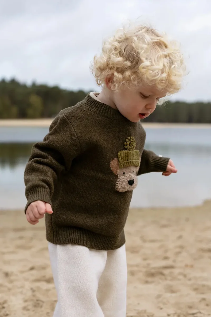 Donsje  pulover pentru copii din lână merino Denn Merino Wool Sweater Terrier