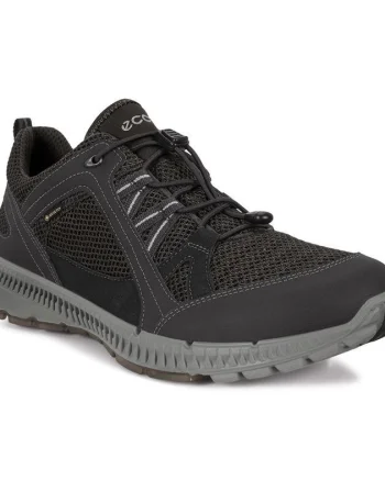 Pantofi Ecco Men's Terracruise II Gore-Tex Negru - Black