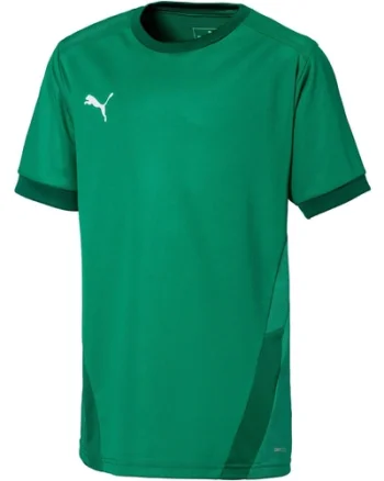Tricou copii Puma Teamgoal 23 Jersey Jr 70416005