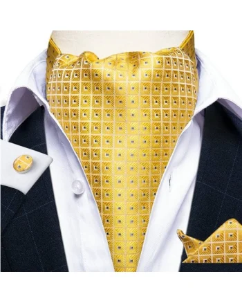 Set cravata / esarfa Ascot + batista + butoni, model 70
