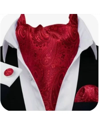 Set cravata / esarfa Ascot + batista + butoni, model 108