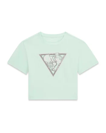 Tricou din amestec de bumbac cu decolteu la baza gatului si logo, Verde pal