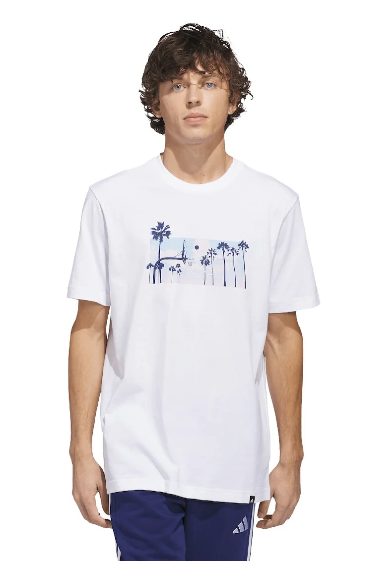 Tricou regular fit Photorl Crt, Alb/Albastru
