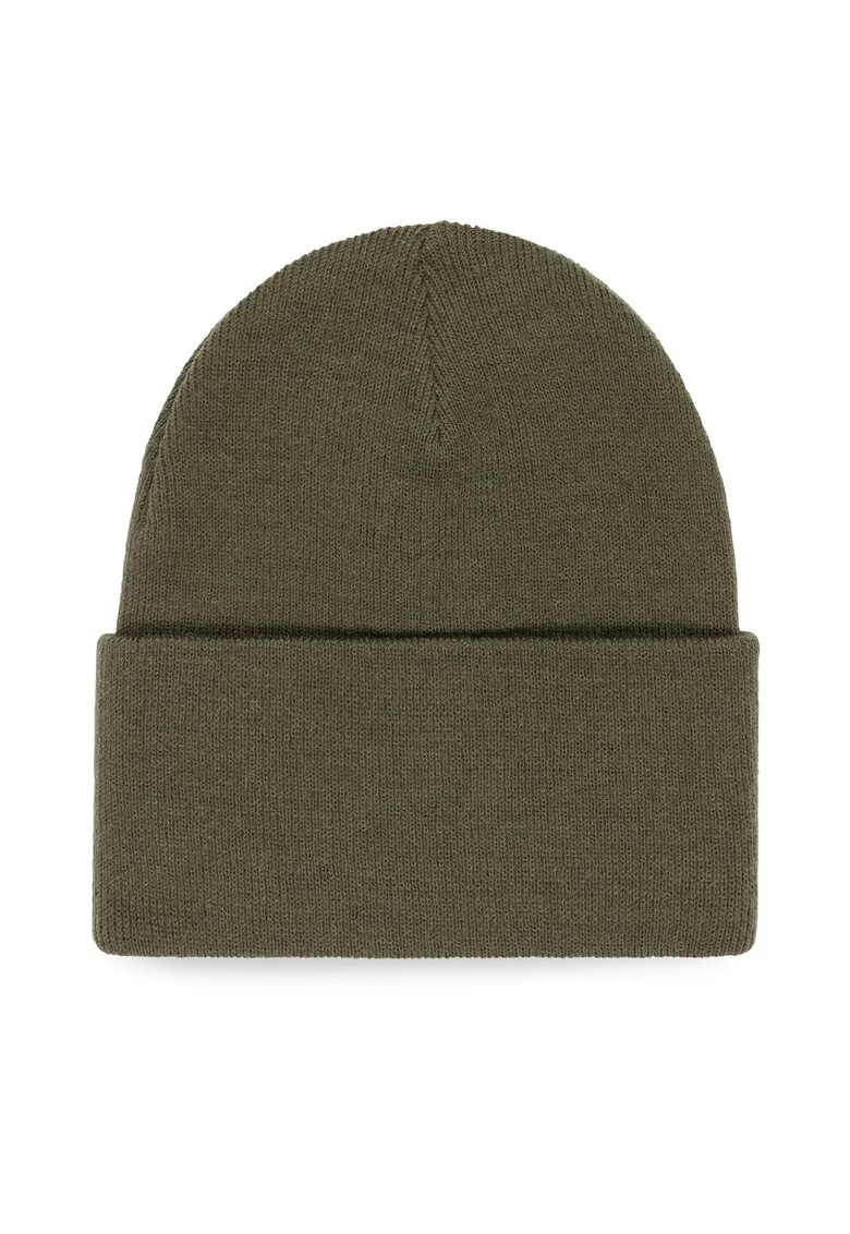 Caciula barbati,  verde, One Size INTL