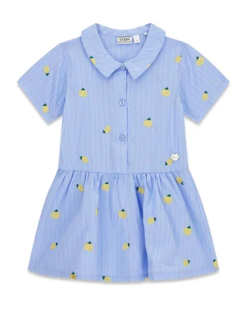 Rochie evazata cu broderii