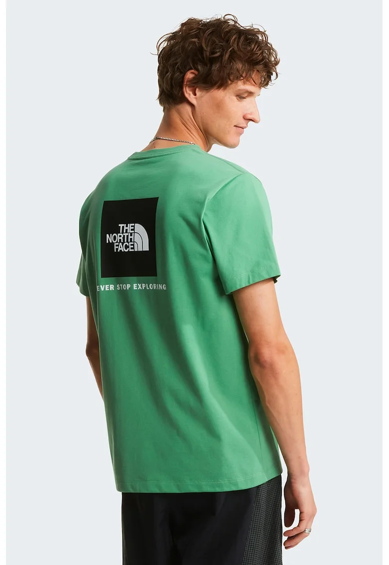 Tricou regular fit cu imprimeu logo pe piept Evolution Box, Verde deschis