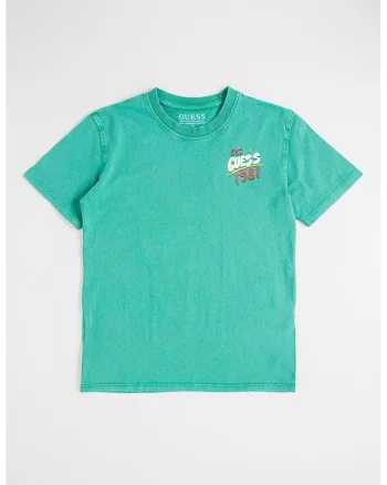 Tricou din bumbac cu aspect decolorat si imprimeu logo, Verde aquamarin
