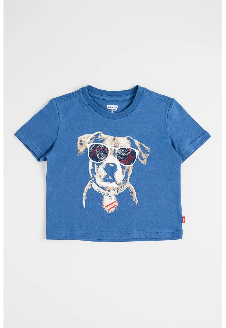 Tricou cu imprimeu Patriotic Pup, Maro/Albastru prafuit