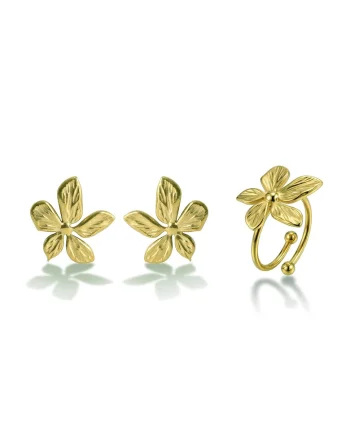 Set de inel si cercei placati cu aur de 18K, Auriu