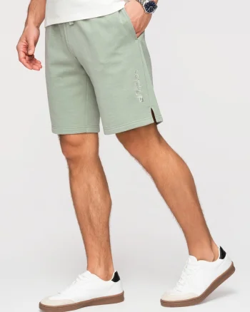 Pantaloni scurti barbati French Terry, croiala regular, ideali pentru vara, Verde deschis