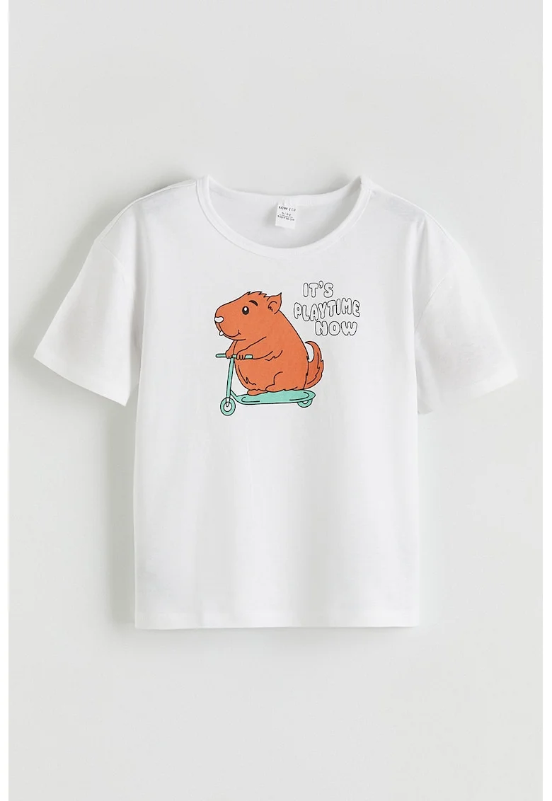 Tricou lejer de bumbac cu imprimeu frontal, Alb/Turcoaz/Caramiziu