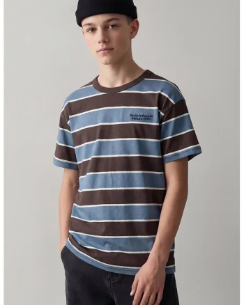 Tricou cu decolteu la baza gatului si model in dungi, Maro/Albastru