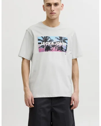 Tricou regular fit cu imprimeu grafic, Gri deschis