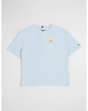 Tricou din bumbac cu decolteu la baza gatului, Albastru deschis melange