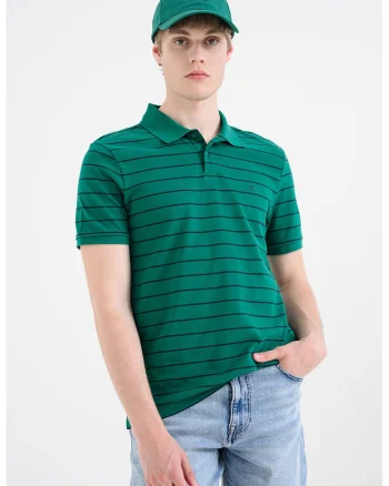 Tricou polo cu model cu dungi, Verde