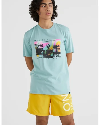 Tricou de bumbac cu imprimeu grafic Bays, Verde menta