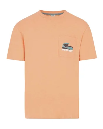 Tricou barbati  PRTJake, croiala lejera, decolteu rotund, bumbac, portocaliu