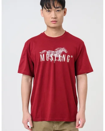 Tricou din bumbac cu imprimeu logo Austin, Visiniu inchis