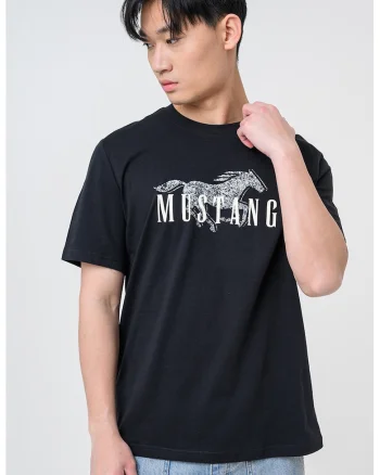 Tricou din bumbac cu imprimeu logo Austin, Negru/Gri deschis