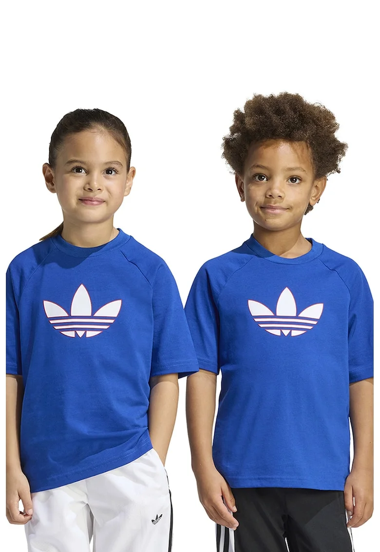 Tricou de bumbac cu maneci raglan, Alb, Albastru royal,