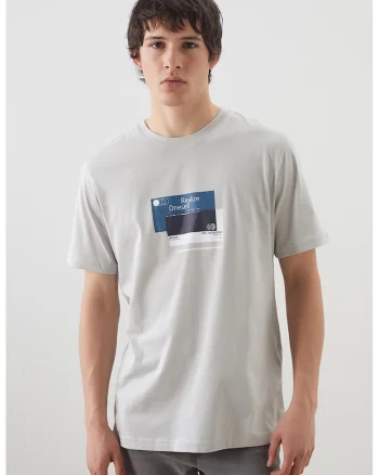 Tricou cu decolteu la baza gatului si imprimeu, Gri deschis/Albastru