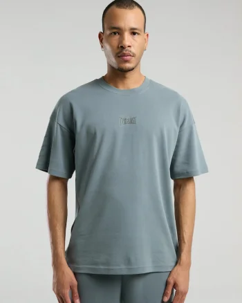 Tricou din amestec de bumbac cu decolteu la baza gatului si imprimeu cu logo, Gri, Gri