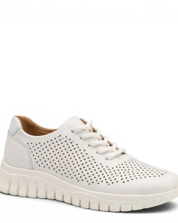 Pass Collection Sneakers HD80004C