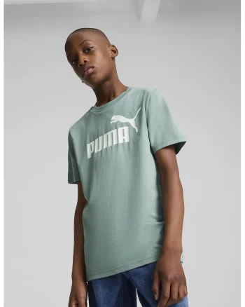 Tricou de bumbac cu decolteu la baza gatului si logo ESS No 1, Alb/Verde persan