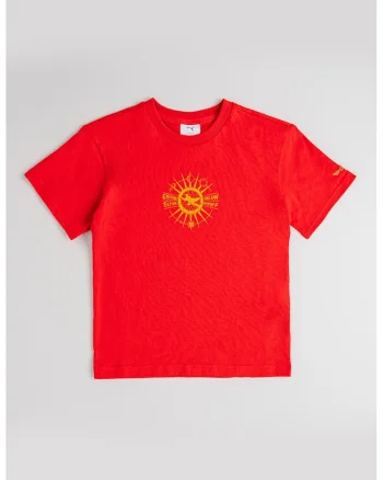 Tricou relaxed-fit cu model tematic Harry Potter, Rosu/Maro deschis