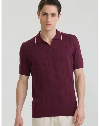 Tricou polo din bumbac cu striatii, Visiniu