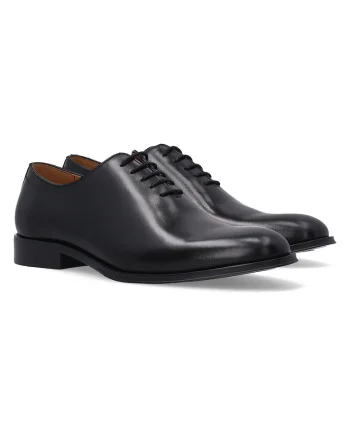 Pantofi clasici de piele cu sireturi