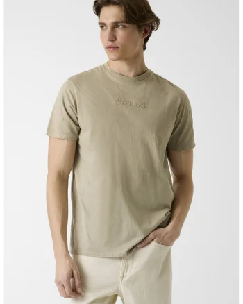 Tricou din bumbac cu logo brodat discret, Bej inchis