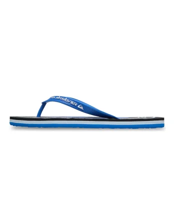 Papuci flip-flop cu logo, Alb/Albastru