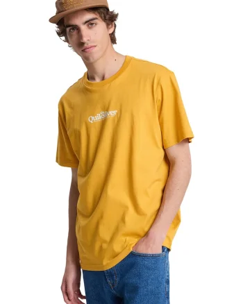 Tricou cu imprimeu logo si decolteu la baza gatului Fineline, Portocaliu