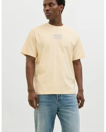Tricou regular fit din bumbac cu imprimeu grafic pe partea din spate, Galben pal/Portocaliu mandarina/Albastru royal