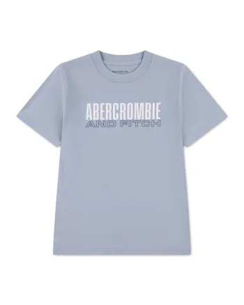 Tricou cu imprimeu logo Brick Type, Alb/Gri