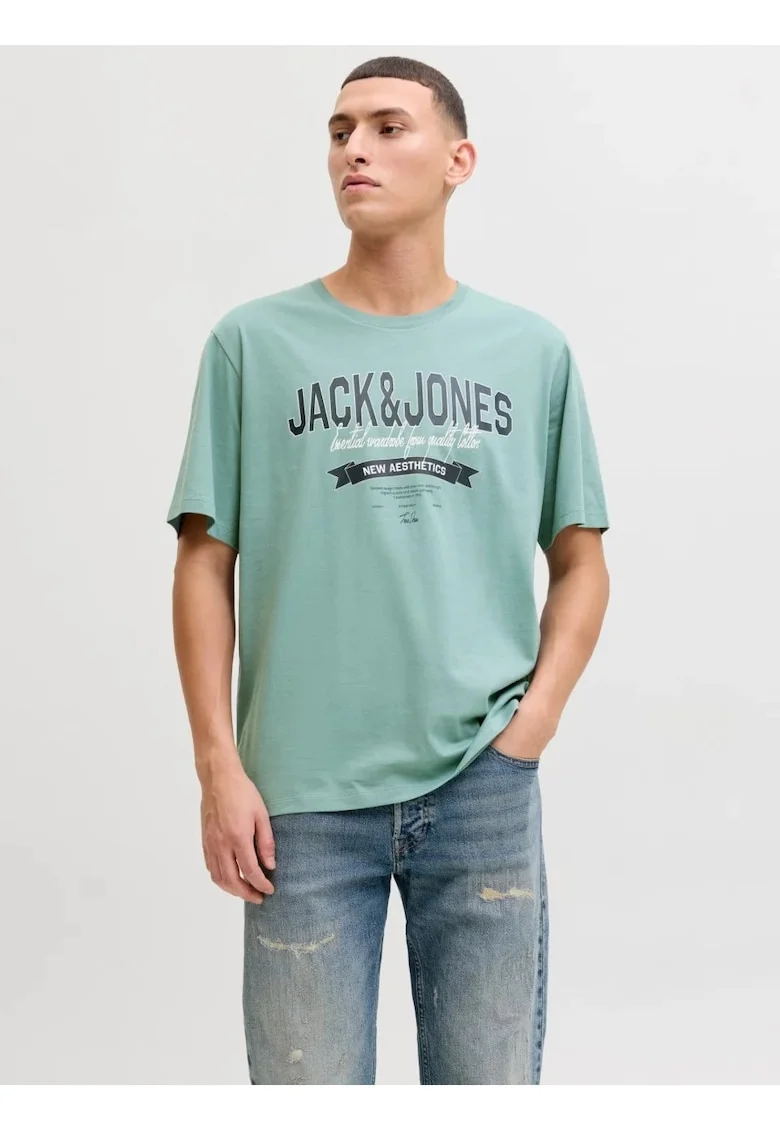 Tricou cu decolteu la baza gatului, barbati, Standard fit, Verde deschis,