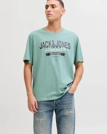 Tricou cu decolteu la baza gatului, barbati, Standard fit, Verde deschis,