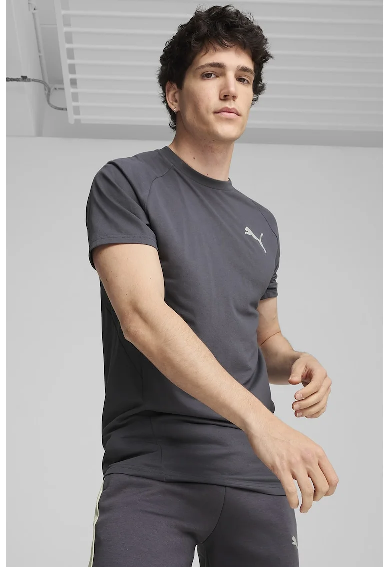 Tricou cu maneci raglan si dryCELL Evostripe, Gri inchis