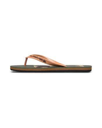 Papuci flip-flop Molokai Stripe 25, Portocaliu pal/Verde englez