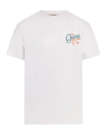 Tricou cu decolteu la baza gatului si imprimeu pe spate, Alb/Verde deschis/Albastru deschis