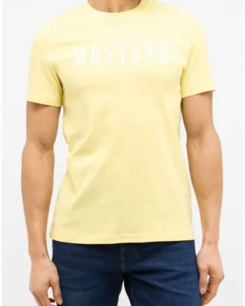 Tricou cu imprimeu logo 1016480 9027