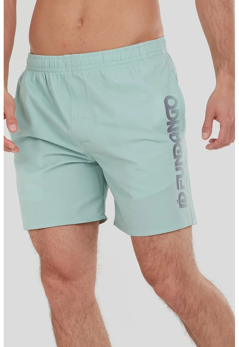 Pantaloni scurti de baie cu imprimeu logo Bono, Gri deschis/Verde pal