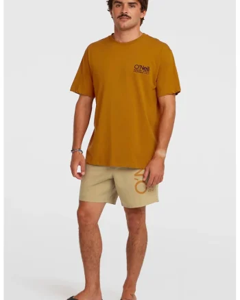 Pantaloni scurti de baie cu talie joasa si imprimeu logo, Bej