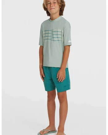 Pantaloni scurti de baie cu snur Vert, Verde
