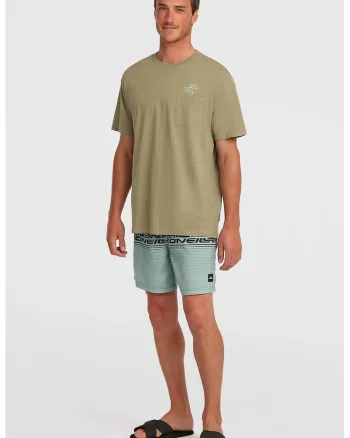 Pantaloni scurti de baie cu snur si dungi, Albastru prafuit