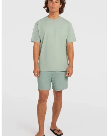 Pantaloni scurti de baie cu talie elastica cu snur, Verde pal
