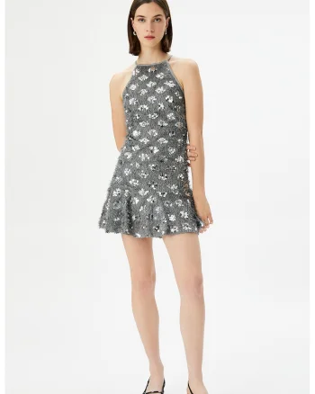 Rochie evazata cu paiete, Argintiu