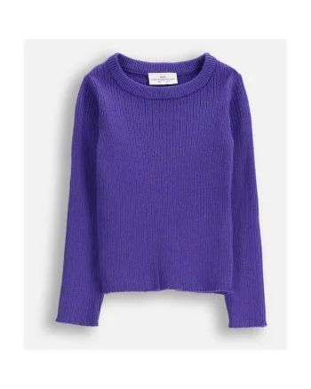Pulover  ZC5172102RGK-016, tricot, pentru fete, violet, cu decolteu rotund, maneca lunga,